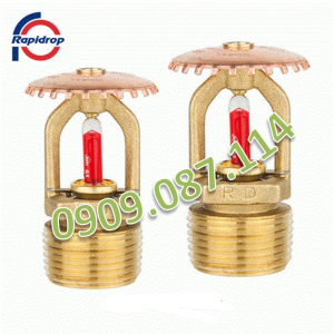 Đầu phun chữa cháy Sprinkler Rapidrop hướng lên phản ứng tiêu chuẩn RD054 Đầu phun chữa cháy Sprinkler Rapidrop hướng lên phản ứng tiêu chuẩn RD054